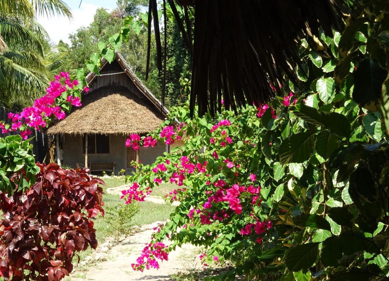 Jabar Lodge Zanzibar Zewnętrze zdjęcie
